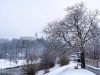 Neuschnee auf Baum am Prienufer mit Schloß Hohenaschau
